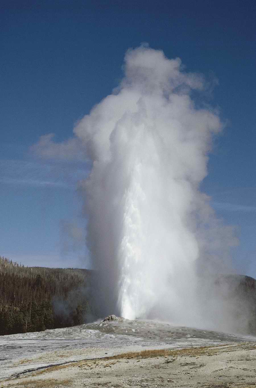 Nature Scenes - Photodisc ></a>
<script language=JavaScript> 
  var txt = 