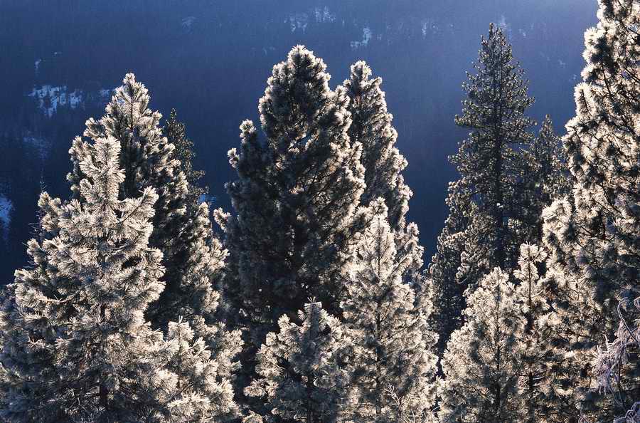 Nature Scenes - Photodisc ></a>
<script language=JavaScript> 
  var txt = 