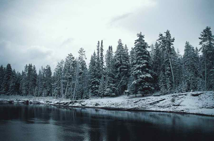 Nature Scenes - Photodisc ></a>
<script language=JavaScript> 
  var txt = 