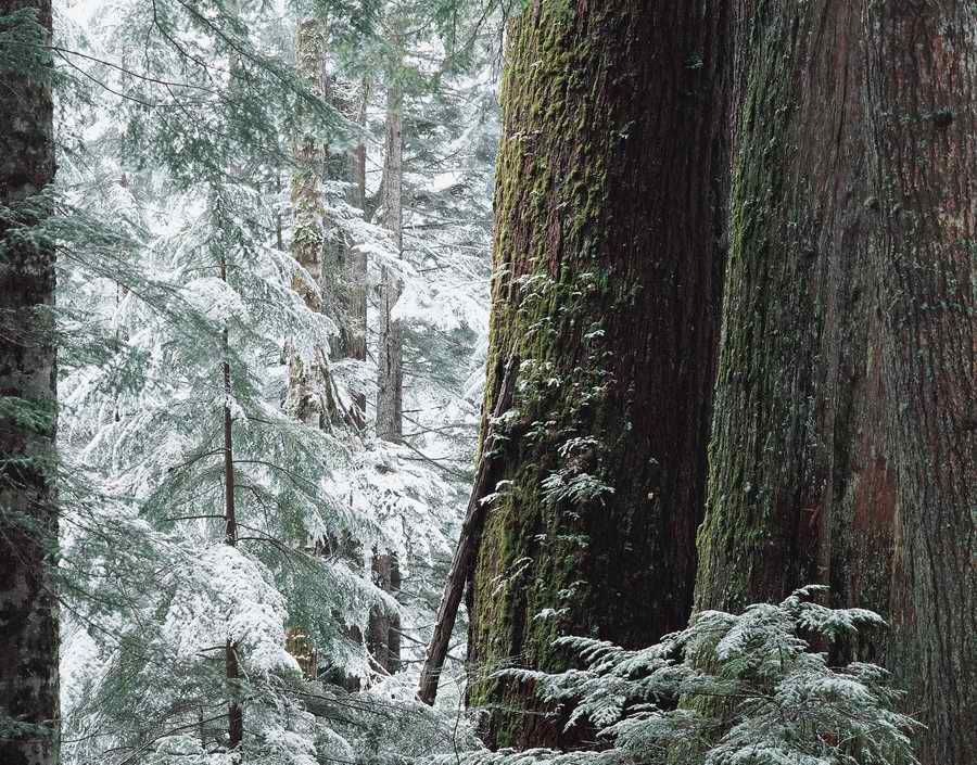 Nature Scenes - Photodisc ></a>
<script language=JavaScript> 
  var txt = 