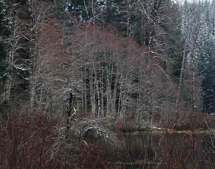 Nature Scenes - Photodisc ></a>
<script language=JavaScript> 
  var txt = 