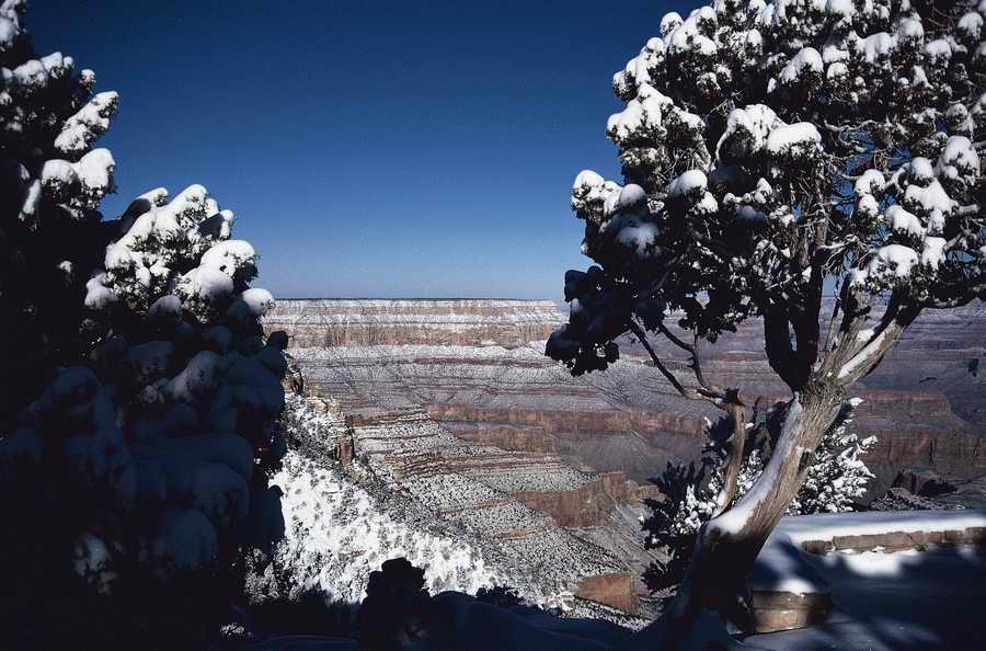 Nature Scenes - Photodisc ></a>
<script language=JavaScript> 
  var txt = 