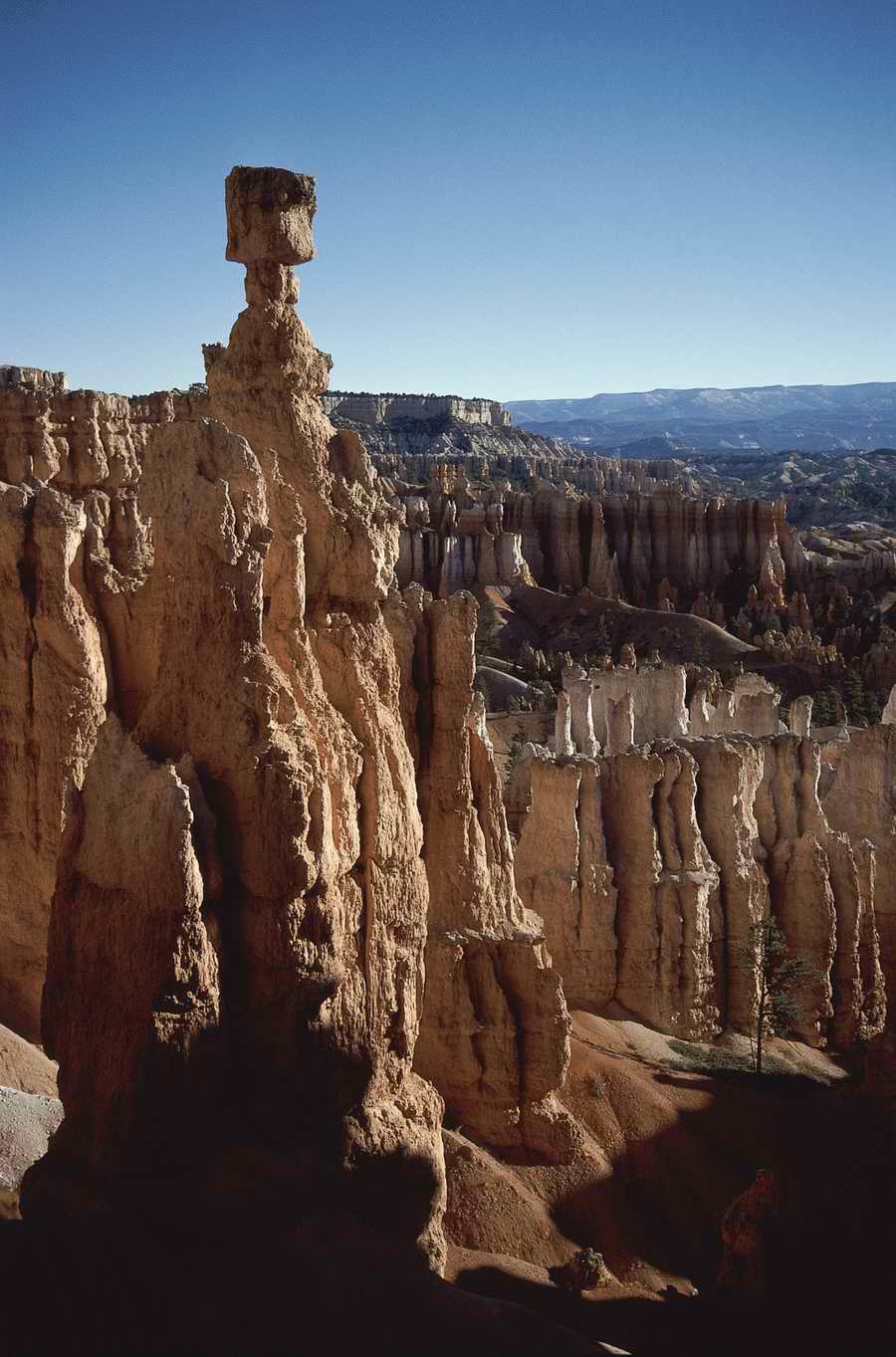 Nature Scenes - Photodisc ></a>
<script language=JavaScript> 
  var txt = 