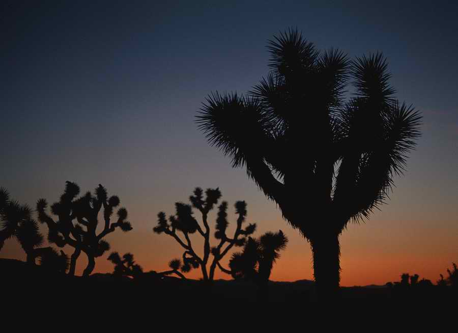 Nature Scenes - Photodisc ></a>
<script language=JavaScript> 
  var txt = 