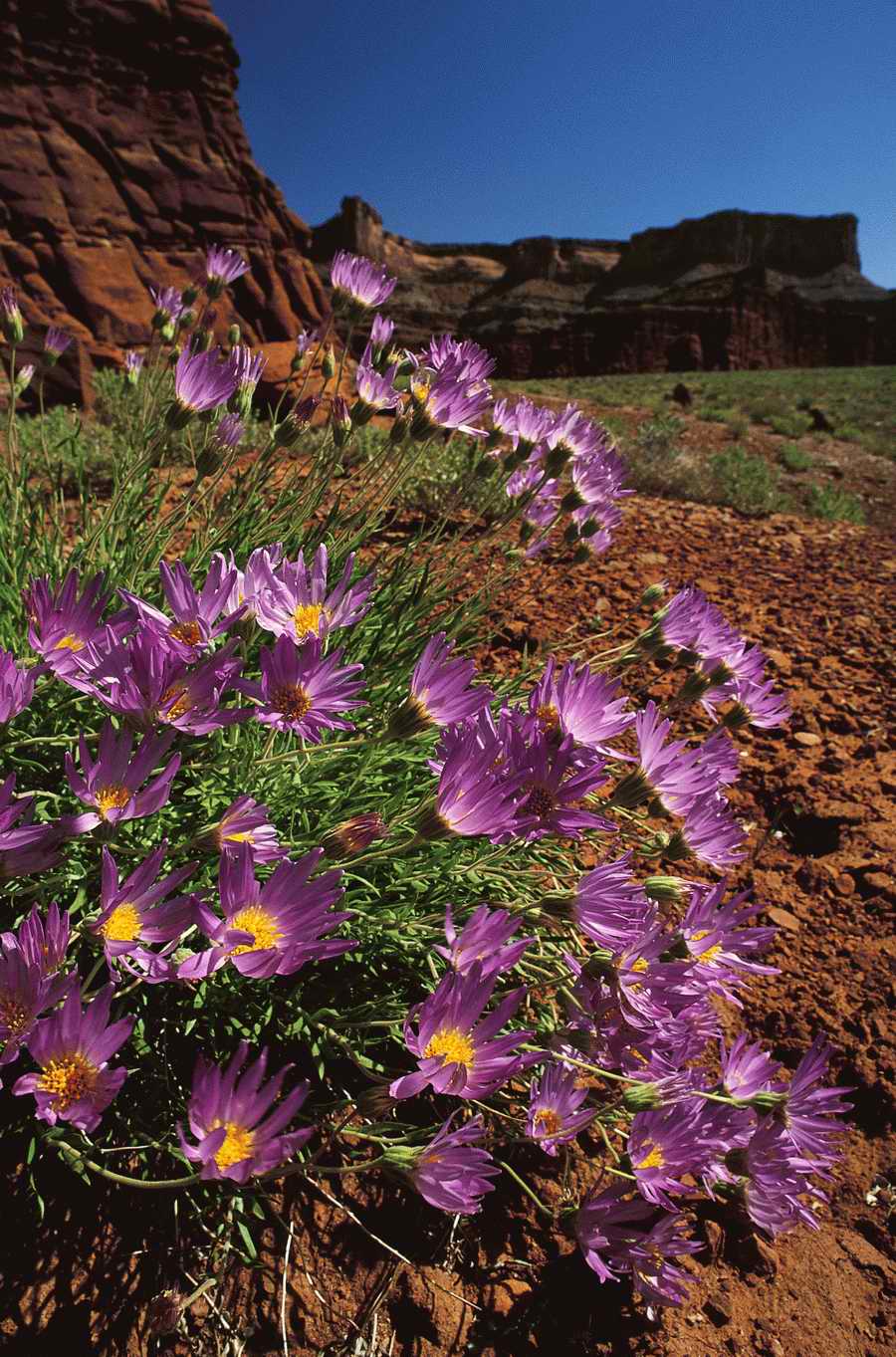 Nature Scenes - Photodisc ></a>
<script language=JavaScript> 
  var txt = 