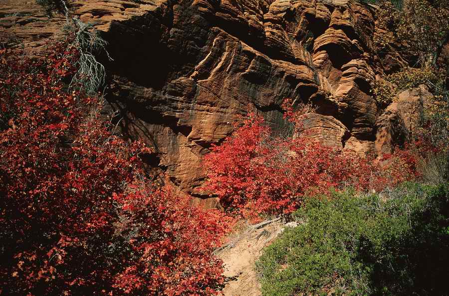 Nature Scenes - Photodisc ></a>
<script language=JavaScript> 
  var txt = 