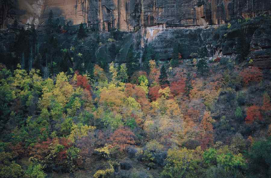 Nature Scenes - Photodisc ></a>
<script language=JavaScript> 
  var txt = 