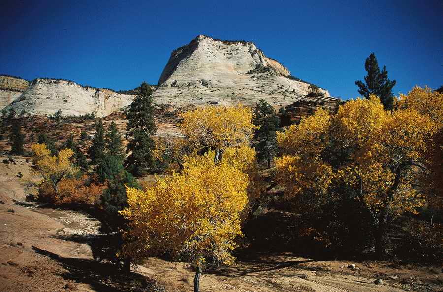 Nature Scenes - Photodisc ></a>
<script language=JavaScript> 
  var txt = 