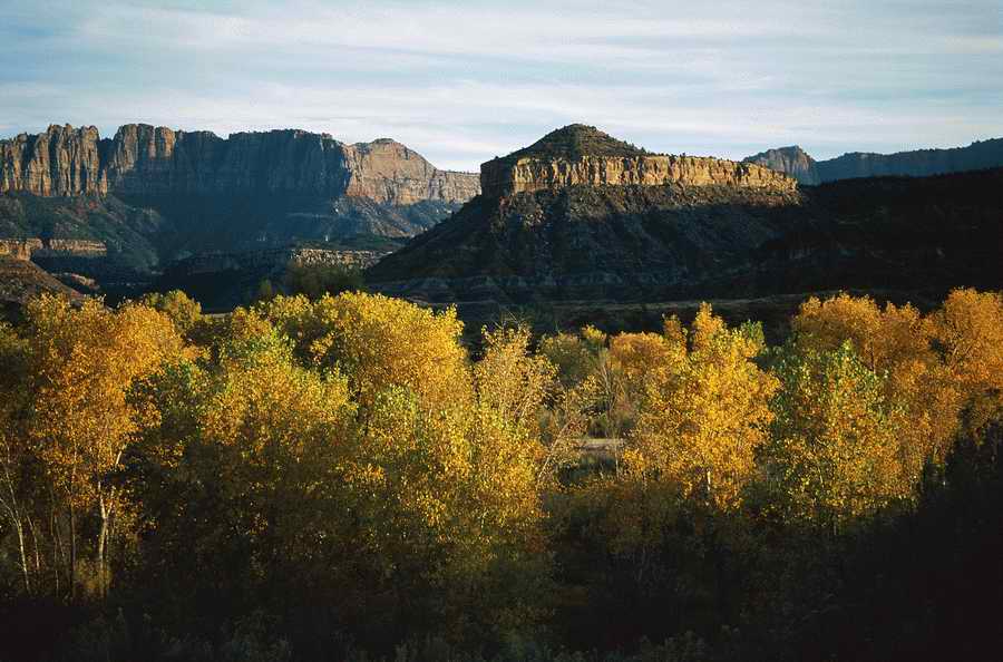 Nature Scenes - Photodisc ></a>
<script language=JavaScript> 
  var txt = 