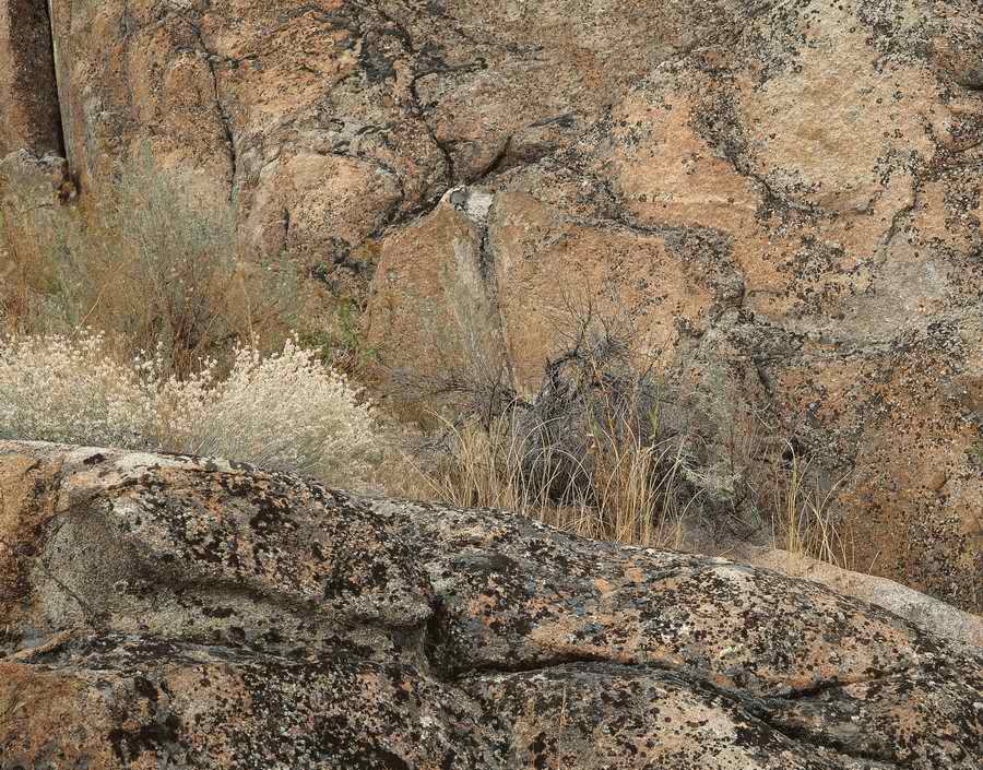 Nature Scenes - Photodisc ></a>
<script language=JavaScript> 
  var txt = 