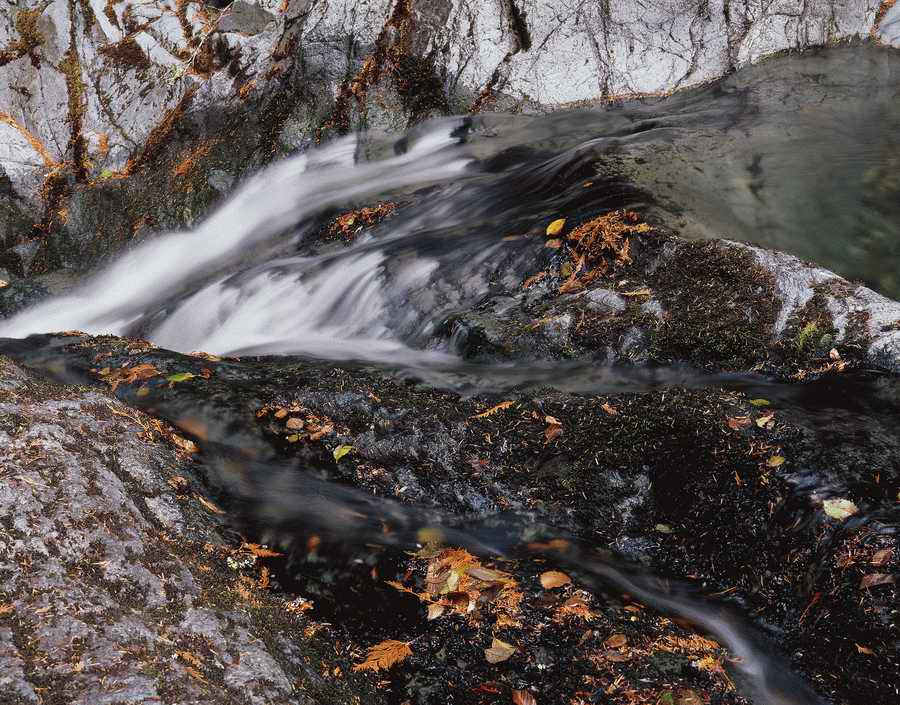 Nature Scenes - Photodisc ></a>
<script language=JavaScript> 
  var txt = 