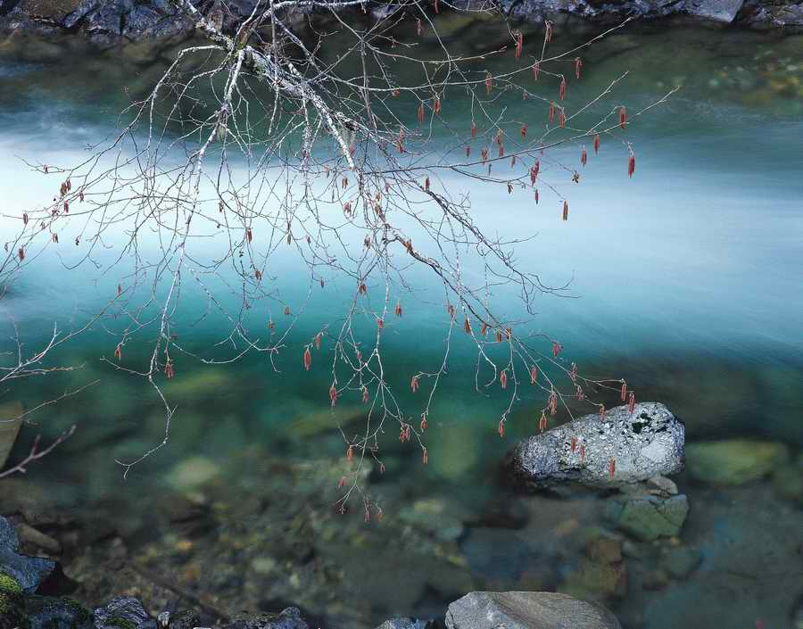 Nature Scenes - Photodisc ></a>
<script language=JavaScript> 
  var txt = 