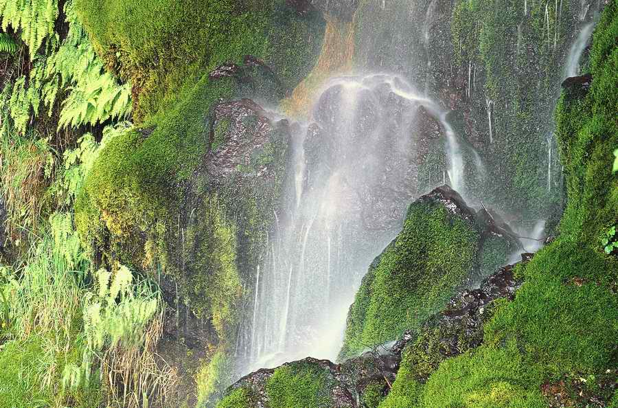 Nature Scenes - Photodisc ></a>
<script language=JavaScript> 
  var txt = 