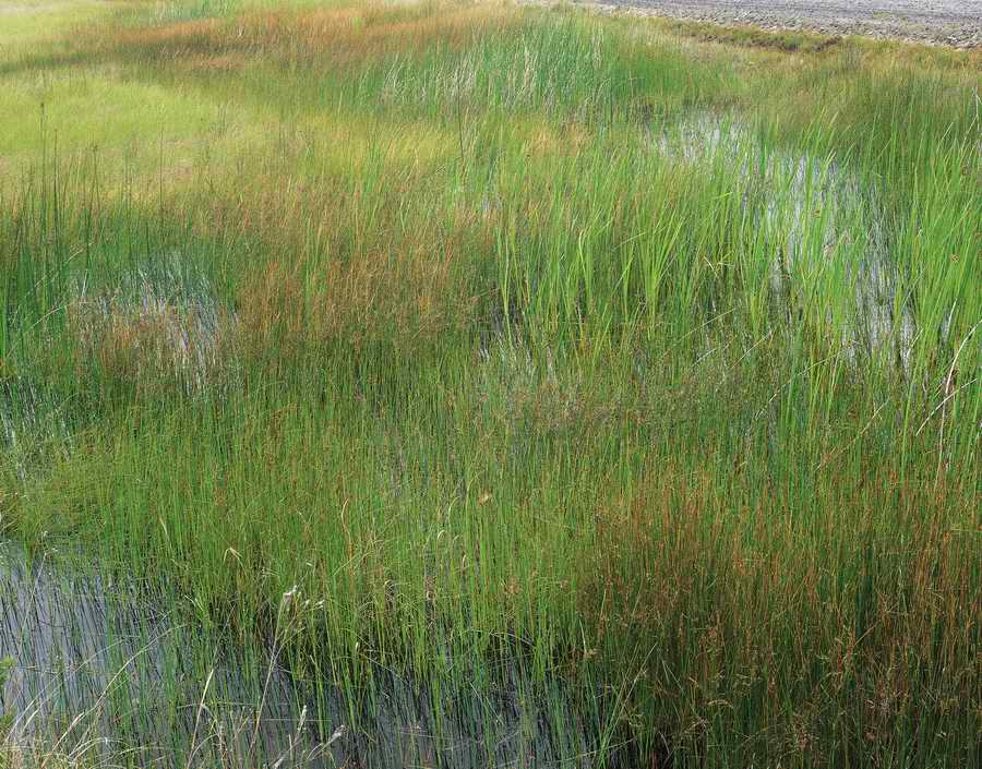 Nature Scenes - Photodisc ></a>
<script language=JavaScript> 
  var txt = 