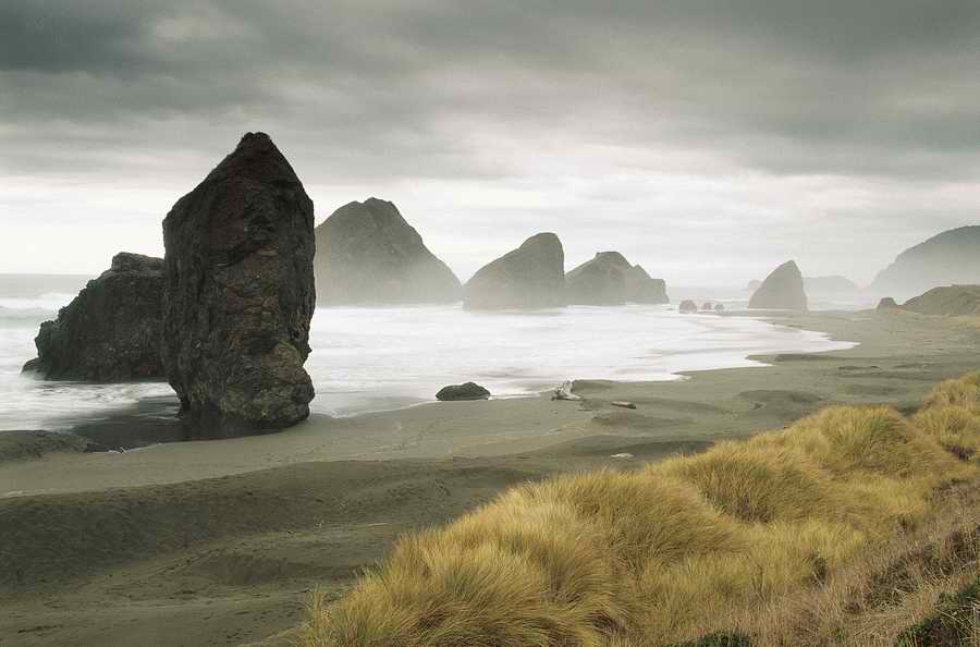 Nature Scenes - Photodisc ></a>
<script language=JavaScript> 
  var txt = 