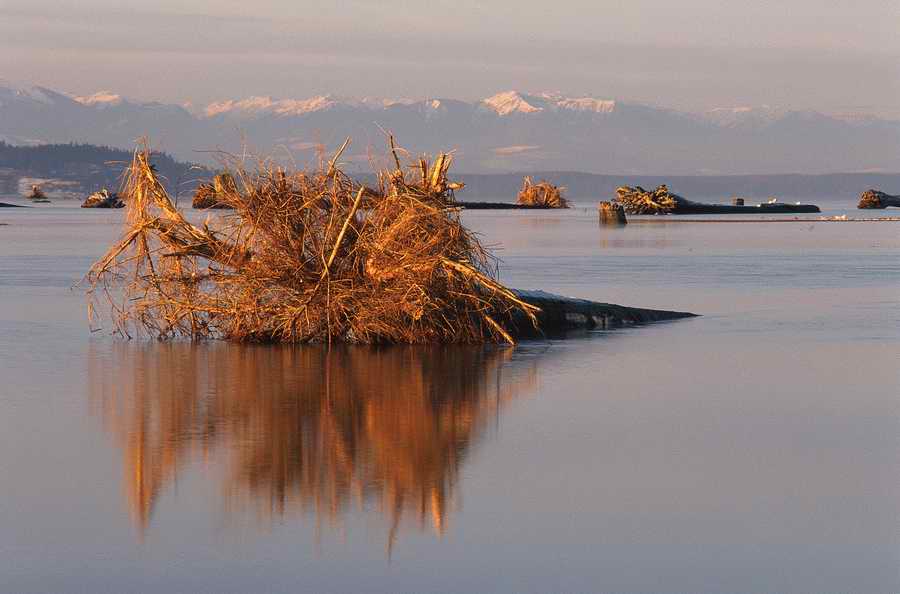 Nature Scenes - Photodisc ></a>
<script language=JavaScript> 
  var txt = 