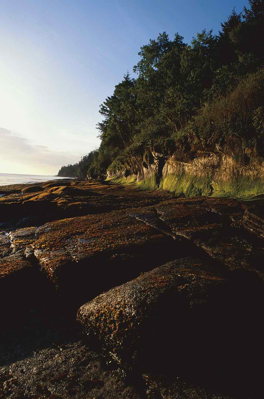 Nature Scenes - Photodisc ></a>
<script language=JavaScript> 
  var txt = 