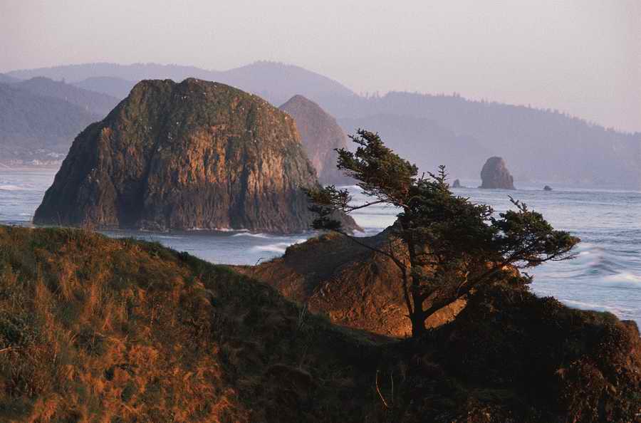 Nature Scenes - Photodisc ></a>
<script language=JavaScript> 
  var txt = 