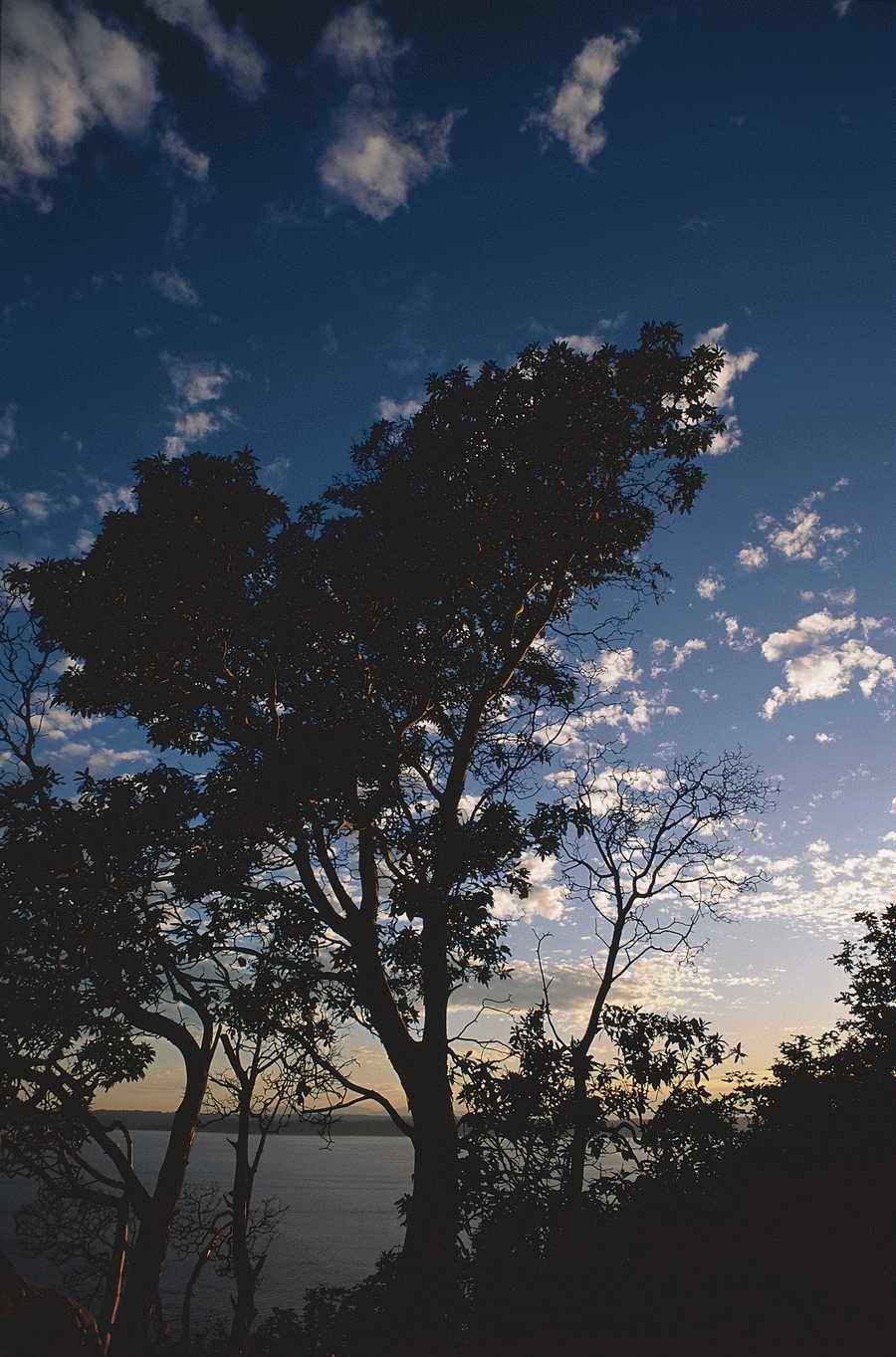 Nature Scenes - Photodisc ></a>
<script language=JavaScript> 
  var txt = 