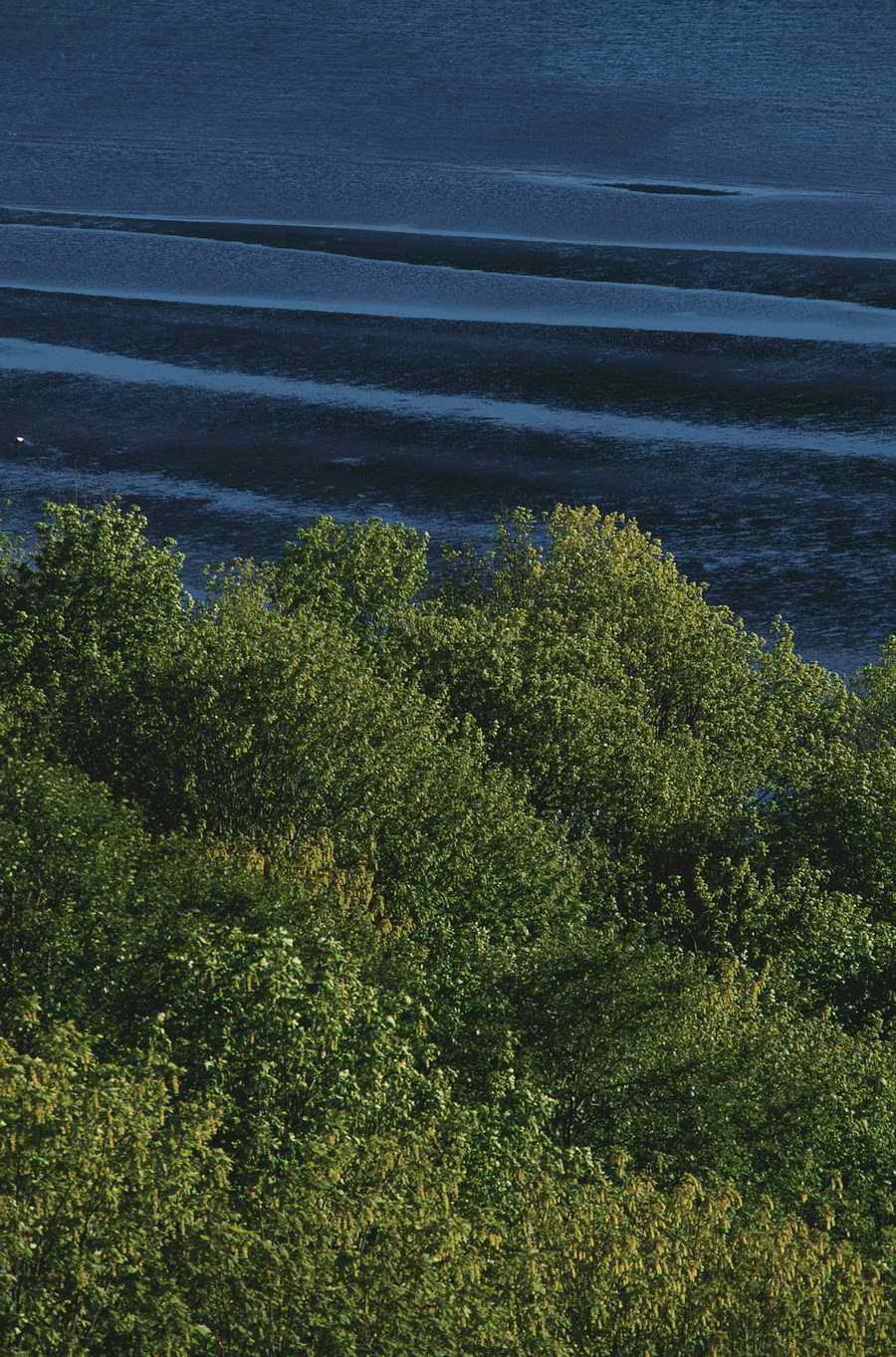 Nature Scenes - Photodisc ></a>
<script language=JavaScript> 
  var txt = 