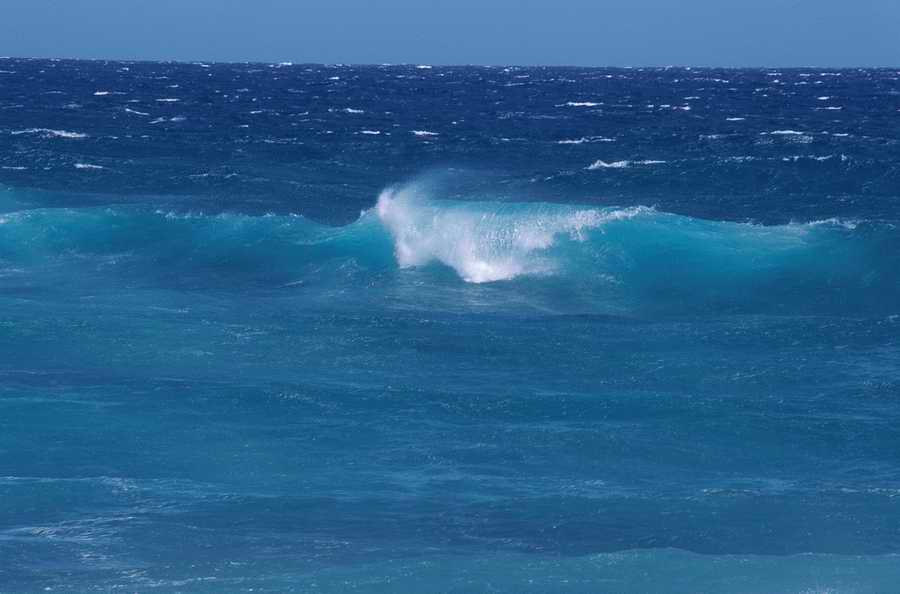 Nature Scenes - Photodisc ></a>
<script language=JavaScript> 
  var txt = 