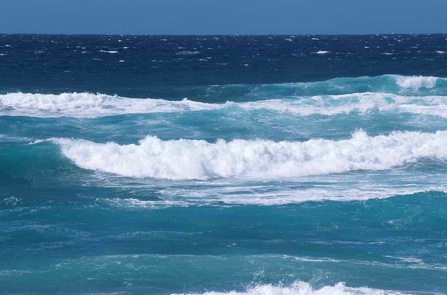 Nature Scenes - Photodisc ></a>
<script language=JavaScript> 
  var txt = 