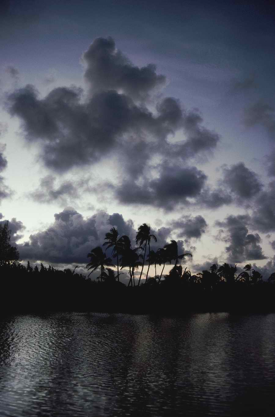 Nature Scenes - Photodisc ></a>
<script language=JavaScript> 
  var txt = 