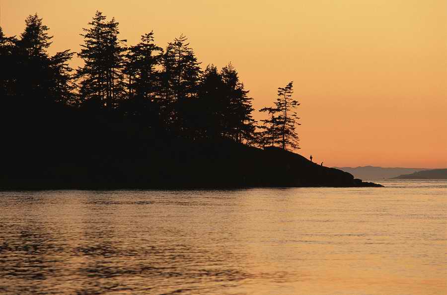 Nature Scenes - Photodisc ></a>
<script language=JavaScript> 
  var txt = 