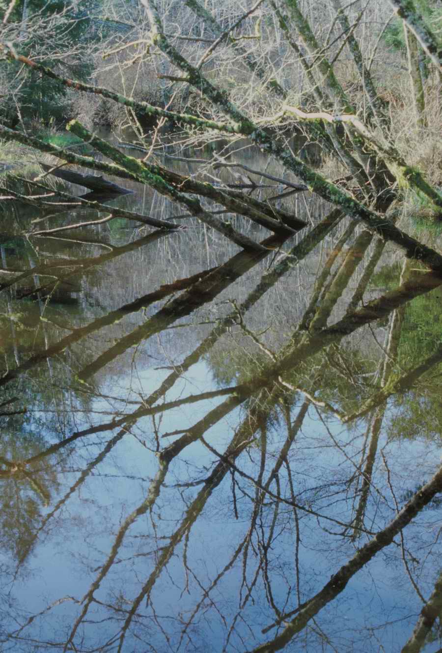 Nature, Wildlife & Environment - Photodisc ></a>
<script language=JavaScript> 
  var txt = 