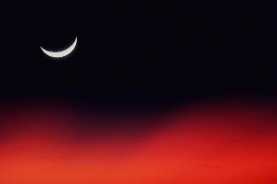 Nature, Wildlife & Environment - Photodisc ></a>
<script language=JavaScript> 
  var txt = 