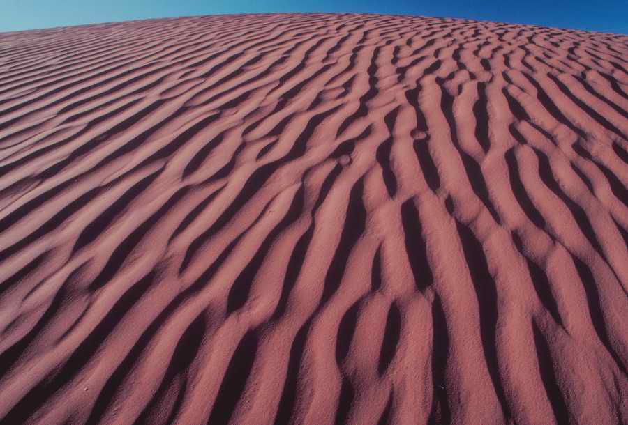 Nature, Wildlife & Environment - Photodisc ></a>
<script language=JavaScript> 
  var txt = 