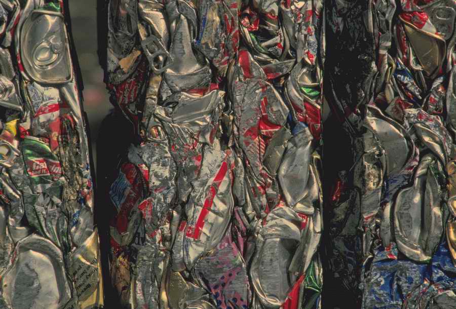 Nature, Wildlife & Environment - Photodisc ></a>
<script language=JavaScript> 
  var txt = 