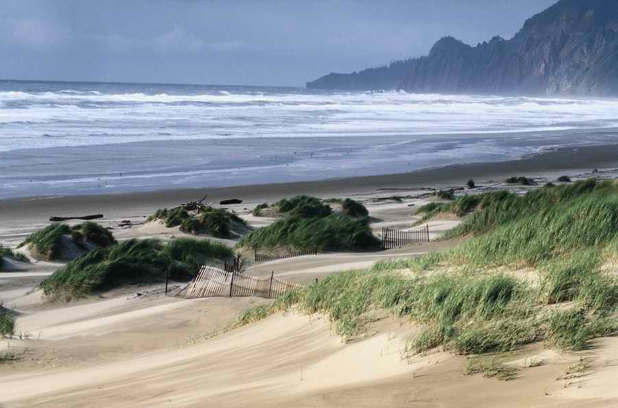 Nature, Wildlife & Environment 2 - Photodisc ></a>
<script language=JavaScript> 
  var txt = 