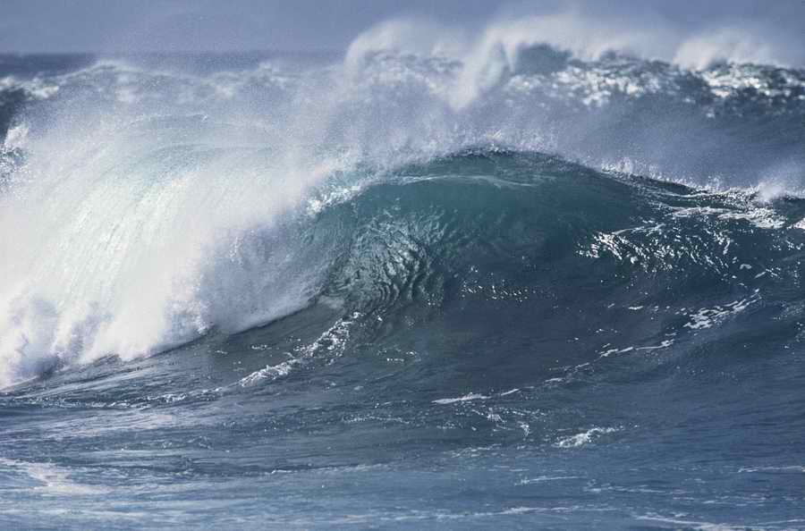 Nature, Wildlife & Environment 2 - Photodisc ></a>
<script language=JavaScript> 
  var txt = 