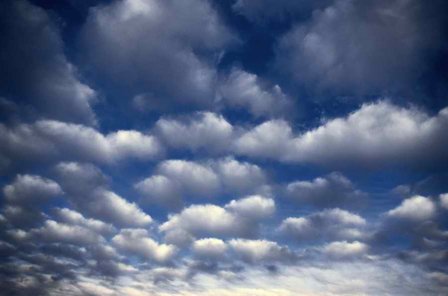 Nature, Wildlife & Environment 2 - Photodisc ></a>
<script language=JavaScript> 
  var txt = 