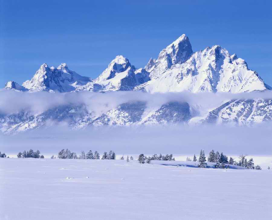 Nature, Wildlife & Environment 2 - Photodisc ></a>
<script language=JavaScript> 
  var txt = 