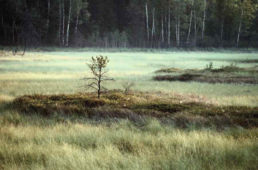 Nature, Wildlife & Environment 2 - Photodisc ></a>
<script language=JavaScript> 
  var txt = 