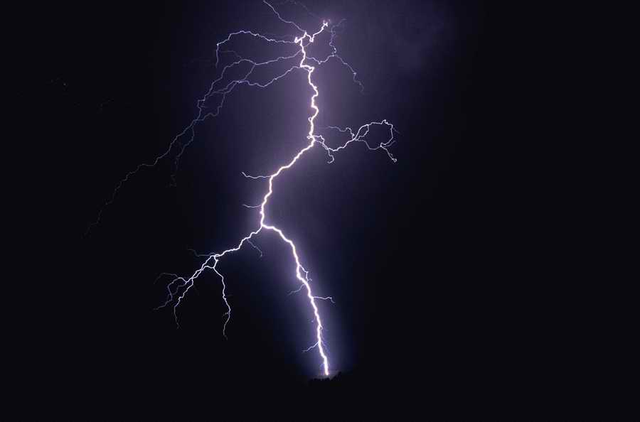 Nature, Wildlife & Environment 2 - Photodisc ></a>
<script language=JavaScript> 
  var txt = 