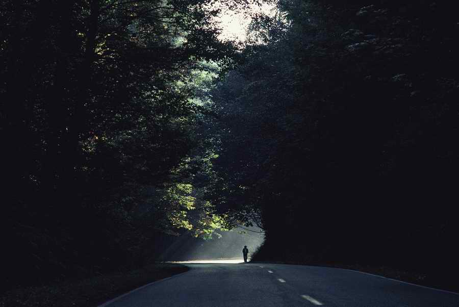 People & Lifestyles - Photodisc ></a>
<script language=JavaScript> 
  var txt = 