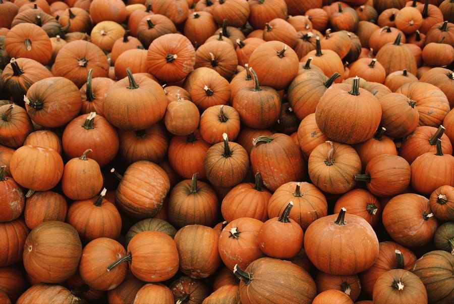 People & Lifestyles - Photodisc ></a>
<script language=JavaScript> 
  var txt = 