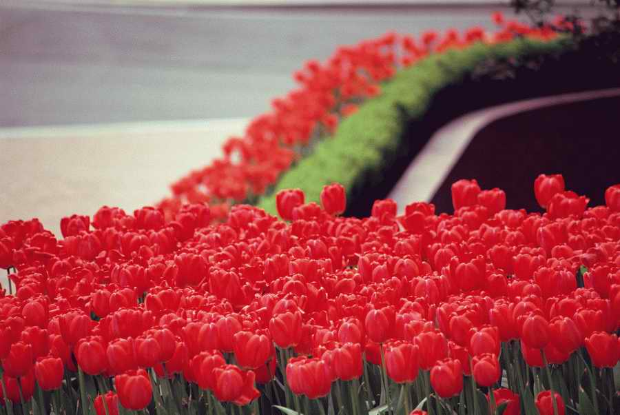 People & Lifestyles - Photodisc ></a>
<script language=JavaScript> 
  var txt = 