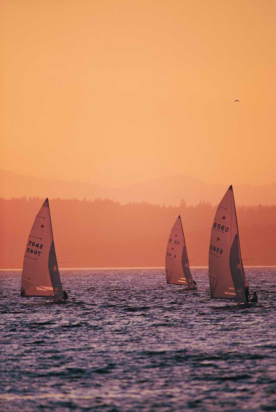 People & Lifestyles - Photodisc ></a>
<script language=JavaScript> 
  var txt = 