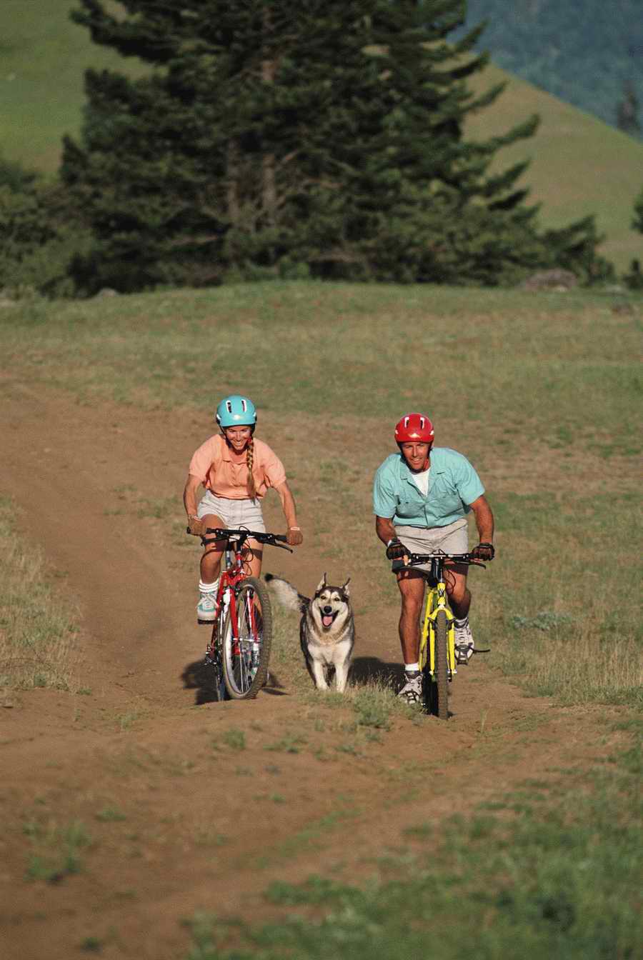 People & Lifestyles - Photodisc ></a>
<script language=JavaScript> 
  var txt = 