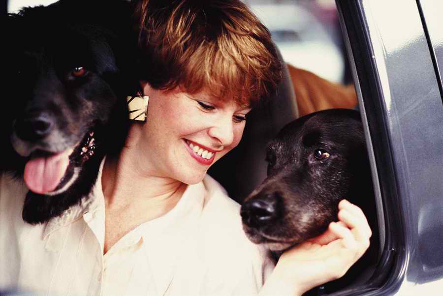 People & Lifestyles - Photodisc ></a>
<script language=JavaScript> 
  var txt = 