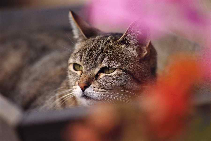 People & Lifestyles - Photodisc ></a>
<script language=JavaScript> 
  var txt = 