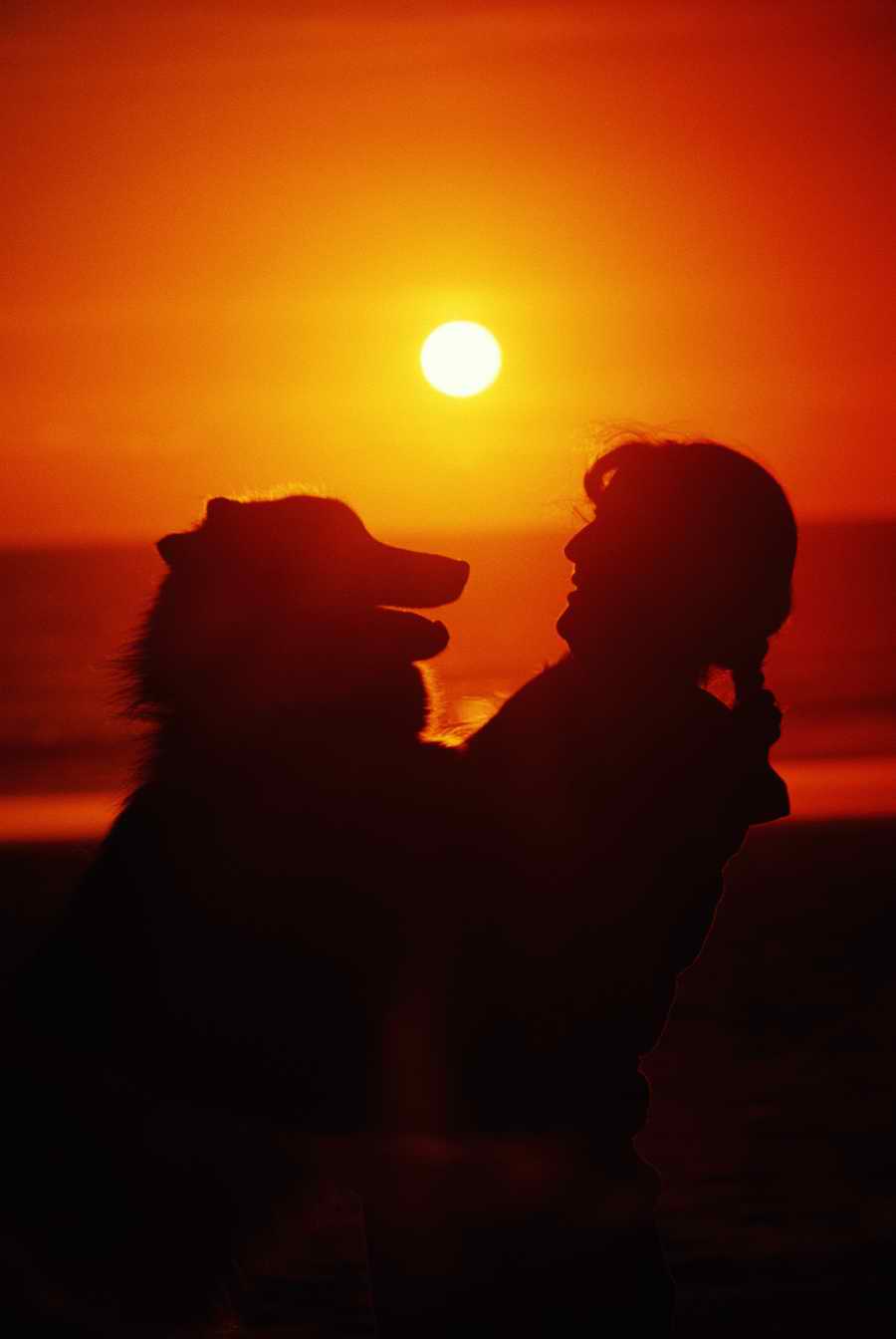 People & Lifestyles - Photodisc ></a>
<script language=JavaScript> 
  var txt = 