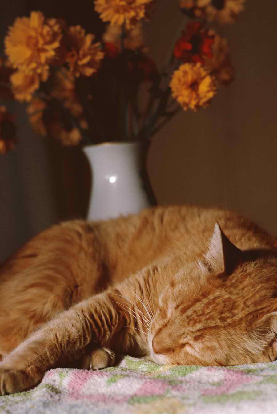 People & Lifestyles - Photodisc ></a>
<script language=JavaScript> 
  var txt = 