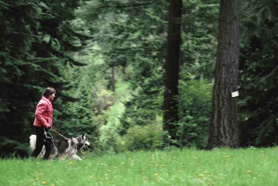 People & Lifestyles - Photodisc ></a>
<script language=JavaScript> 
  var txt = 