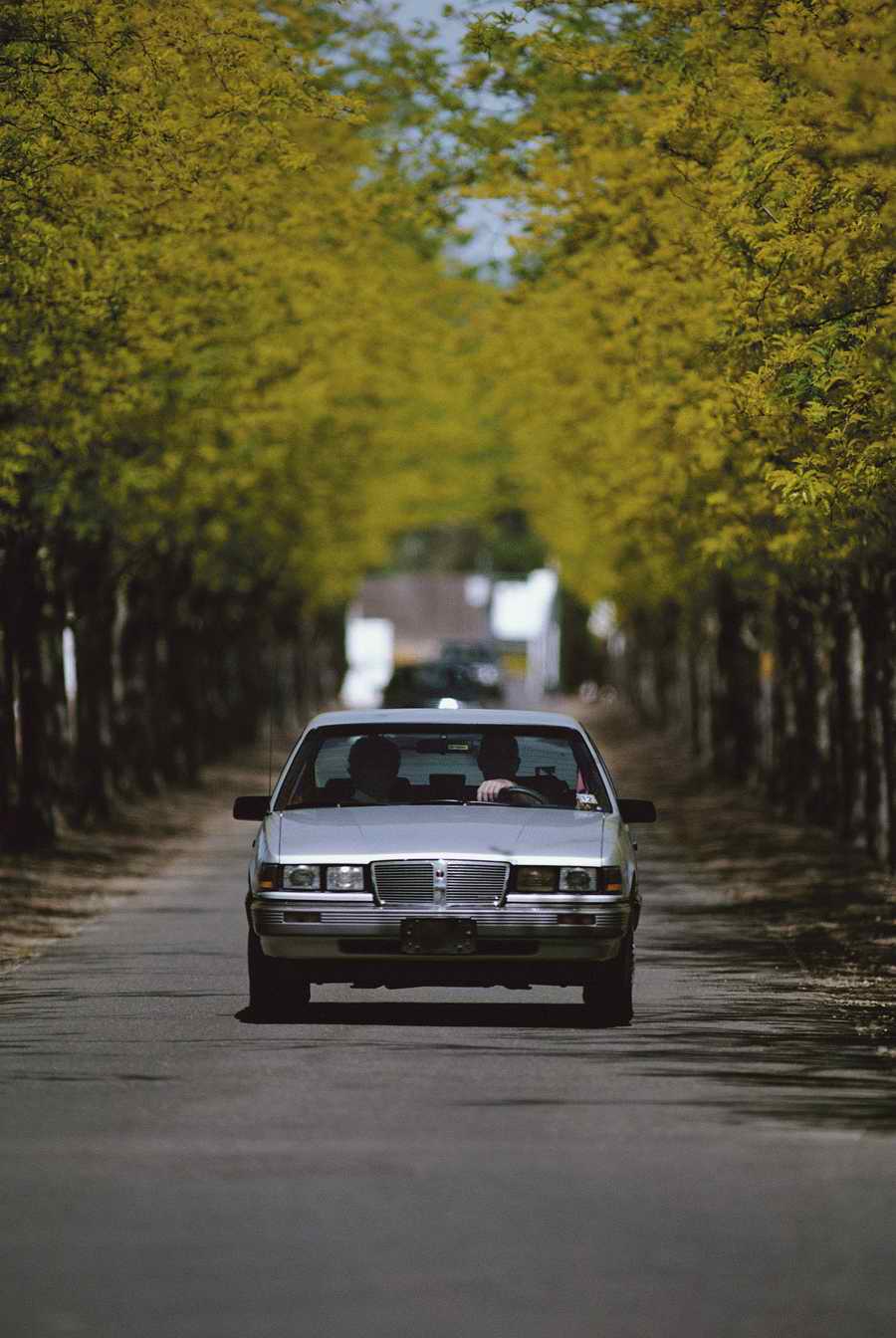 People & Lifestyles - Photodisc ></a>
<script language=JavaScript> 
  var txt = 