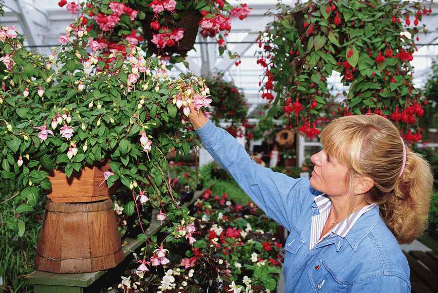 People & Lifestyles - Photodisc ></a>
<script language=JavaScript> 
  var txt = 